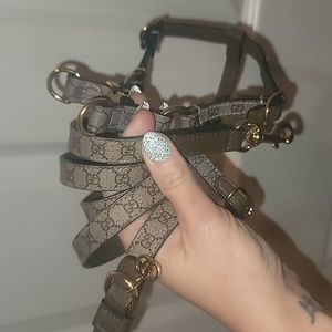 Gucci dog harness and leash